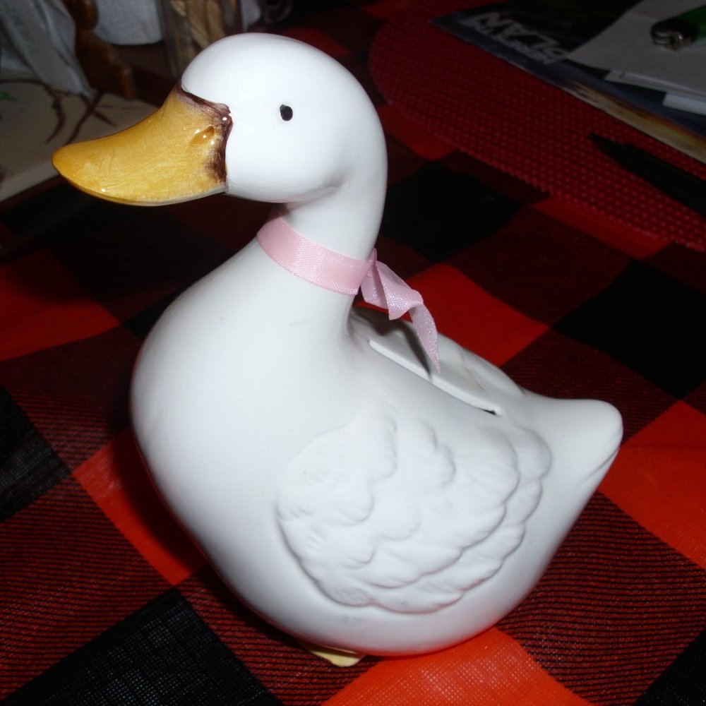 cute baby bank duck